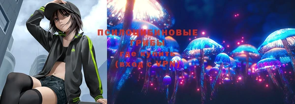 кокс Баксан