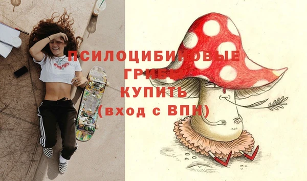 кокс Баксан