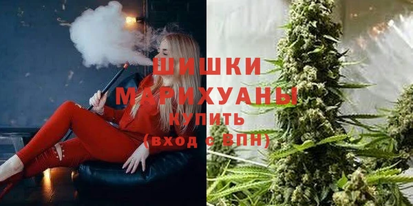 ПСИЛОЦИБИНОВЫЕ ГРИБЫ Баксан