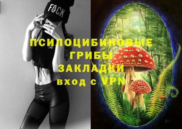 кокс Баксан