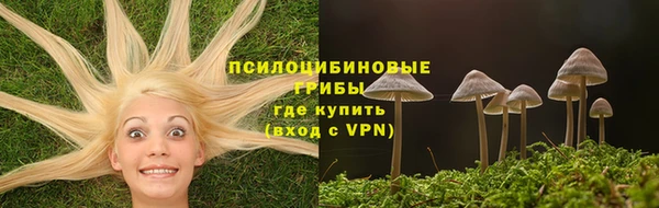 кокс Баксан