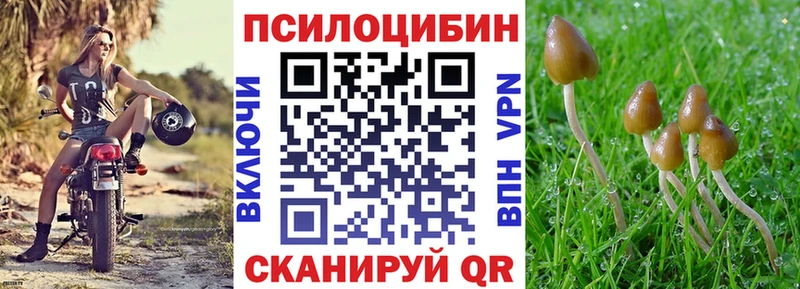 Галлюциногенные грибы GOLDEN TEACHER  Орск 