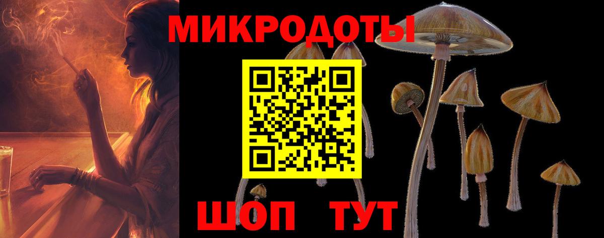 Галлюциногенные грибы Cubensis Орск