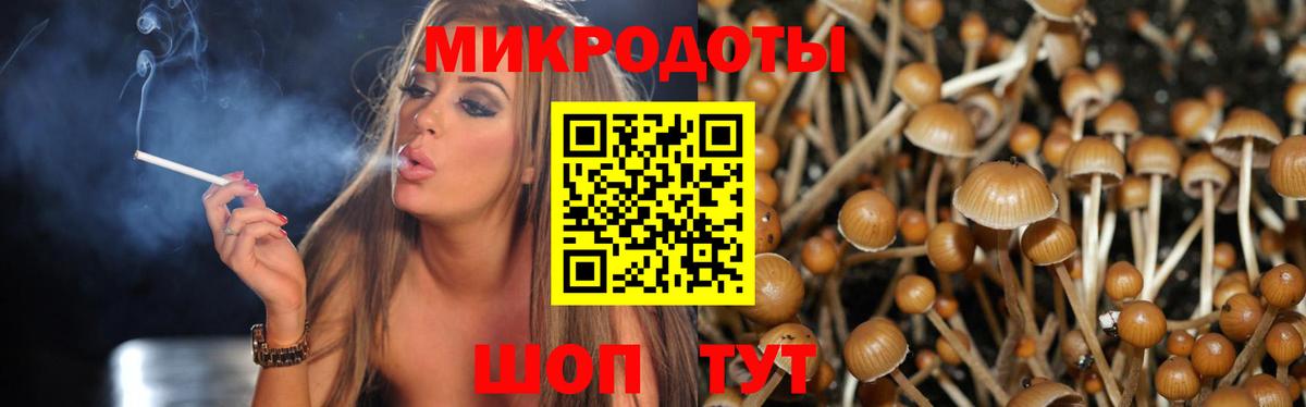 Галлюциногенные грибы прущие грибы  Вход с VPN  купить   Орск 